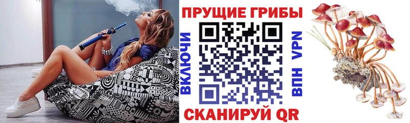 Галлюциногенные грибы Cubensis  магазин  наркотиков  Вуктыл 